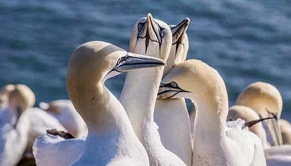 港脚加盟海港，第一天来训练，就发现这里水平很高