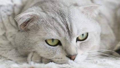 港脚加盟海港，第一天来训练，就发现这里水平很高